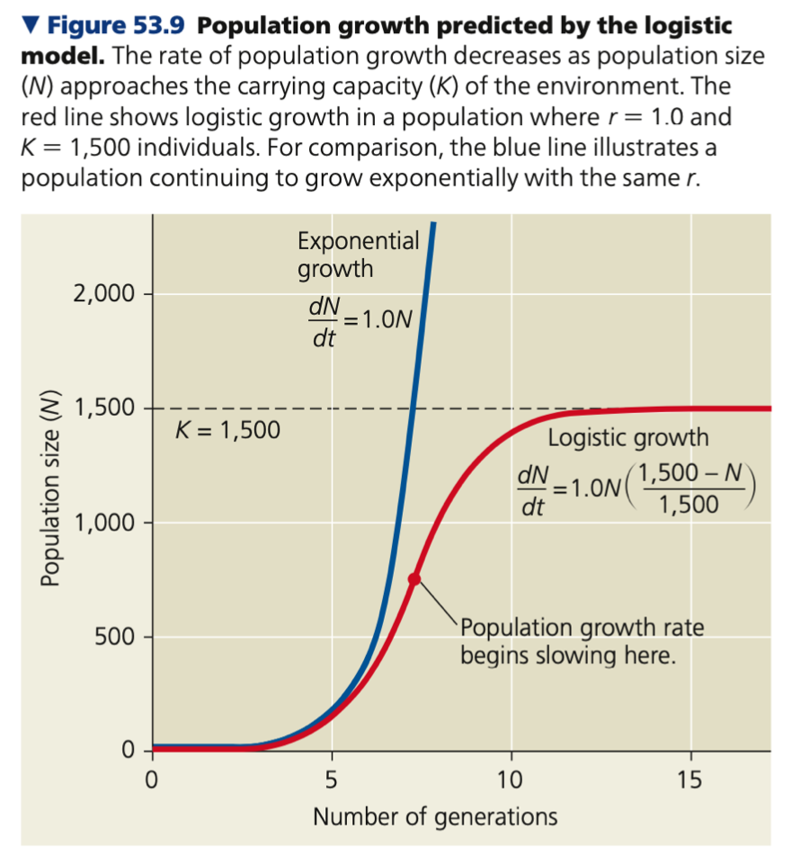Graph for logistic growth
● Produces a _____ (S-shaped) growth curve when N is plotted over time (red line)
● New individuals are added most rapidly at _______ population sizes
● Number of individuals added ______ dramatically as N approaches K
○ Population growth rate (dN/dt) also decreases as N approaches K