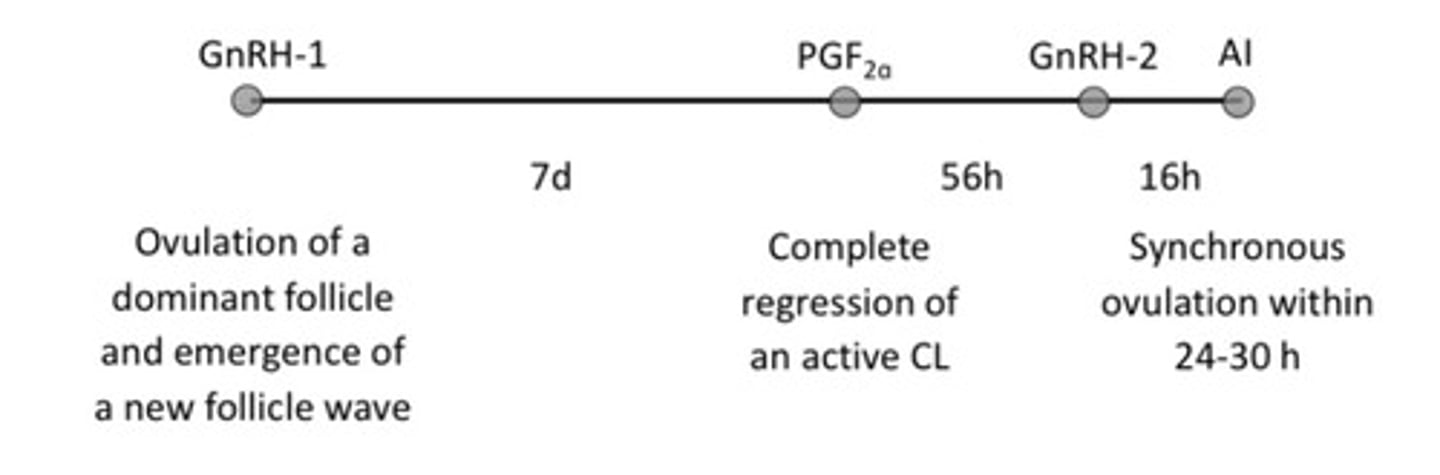 <p>Better results when protocol is initiated in early diestrus (GnRH-1 ~day 5-9)</p>