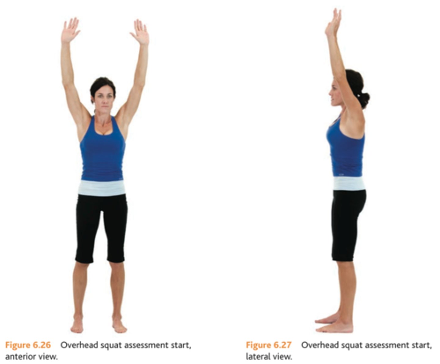 <p>(vi.)綿延，延伸</p>