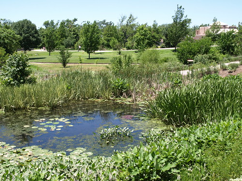low swampy lands