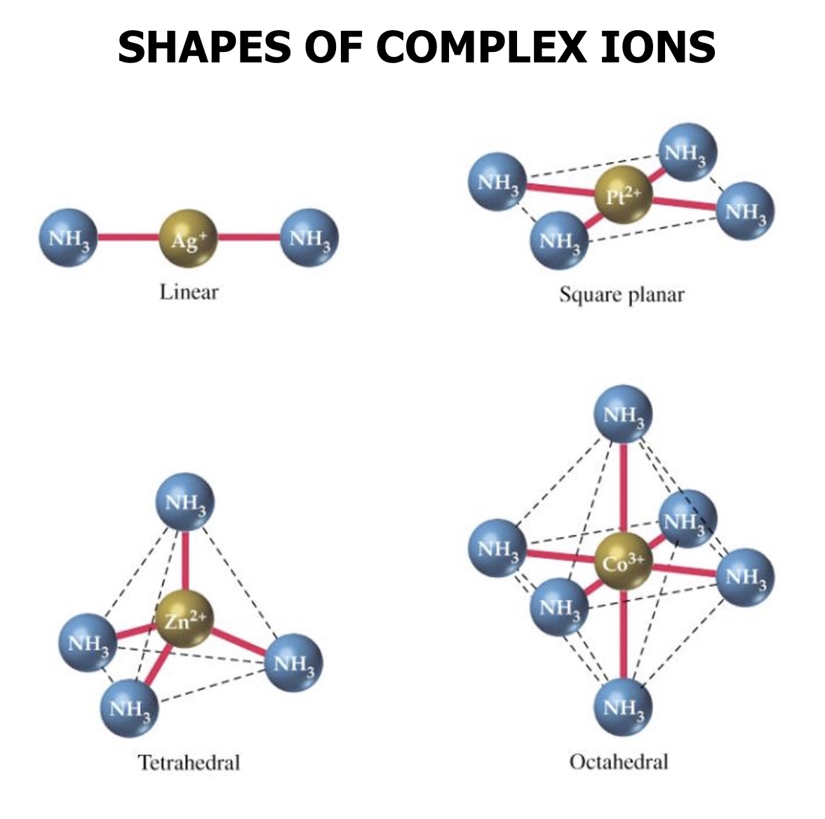 <ul><li><p>linear </p></li><li><p>square planar </p></li><li><p>tetrahedral </p></li><li><p>octahedral </p></li></ul><p></p>