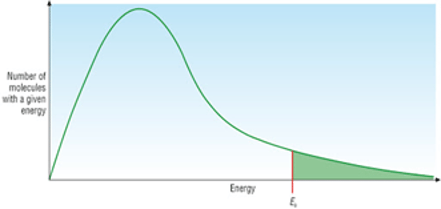 <p>EXAM TIP- will often see this graph in exams, may have to draw it so learn the labels and practise drawing it</p>