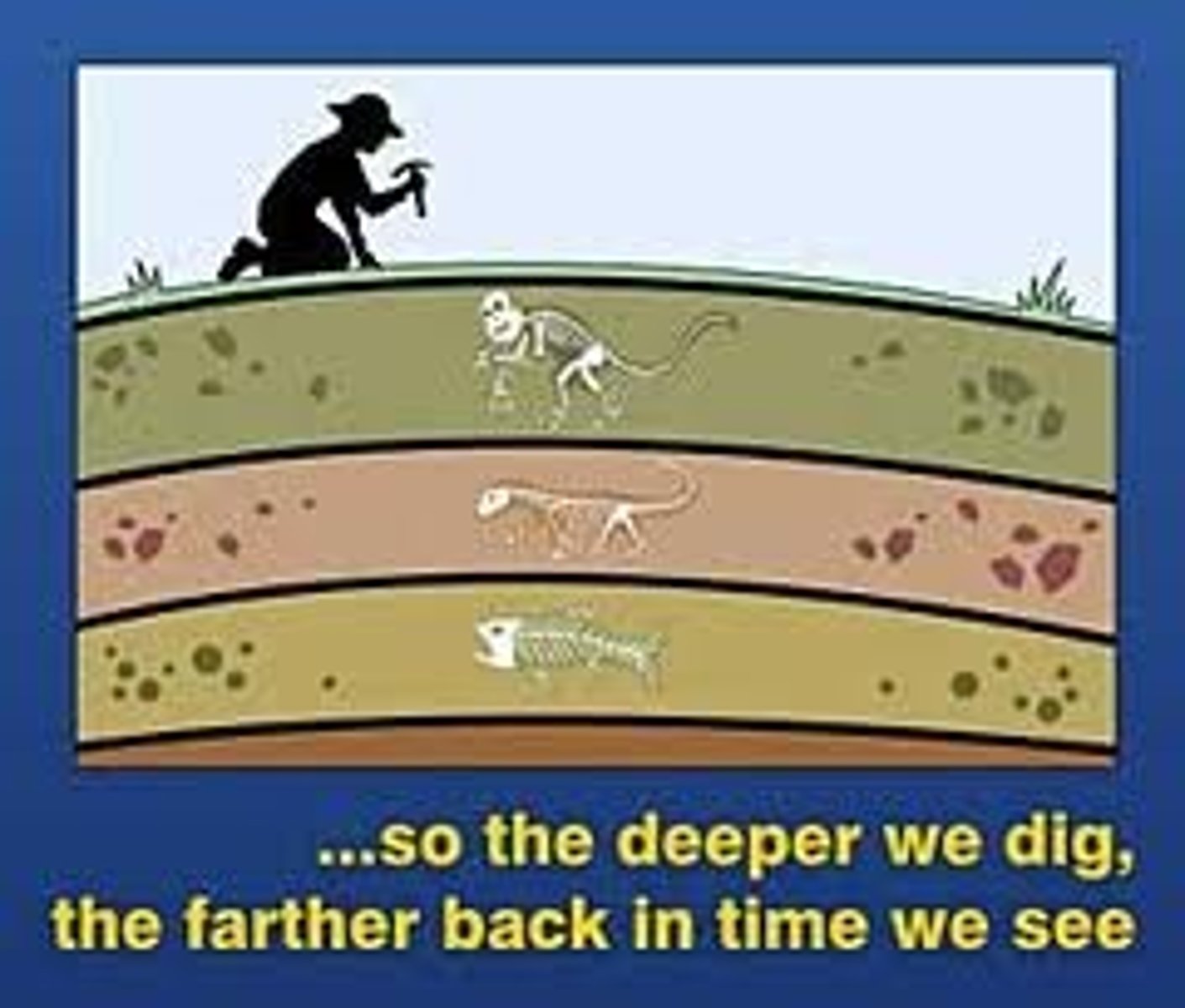 <p>the geologic principle that states that in horizontal layers of sedimentary rock, each layer is older than the layer above it and younger than the layer below it</p>