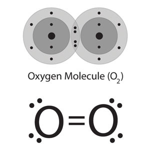 <p>The electrostatic attraction between two shared pairs of electrons and the nuclei of the bonding atoms.</p>