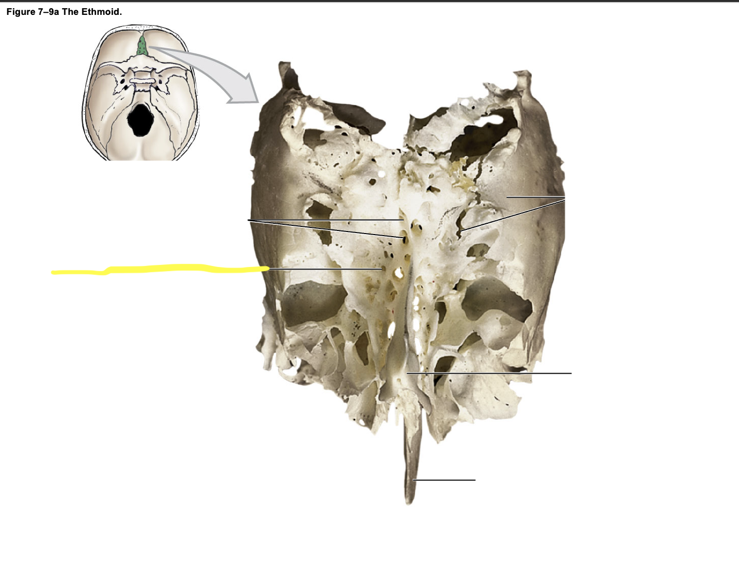 <p>What is the structure?</p>
