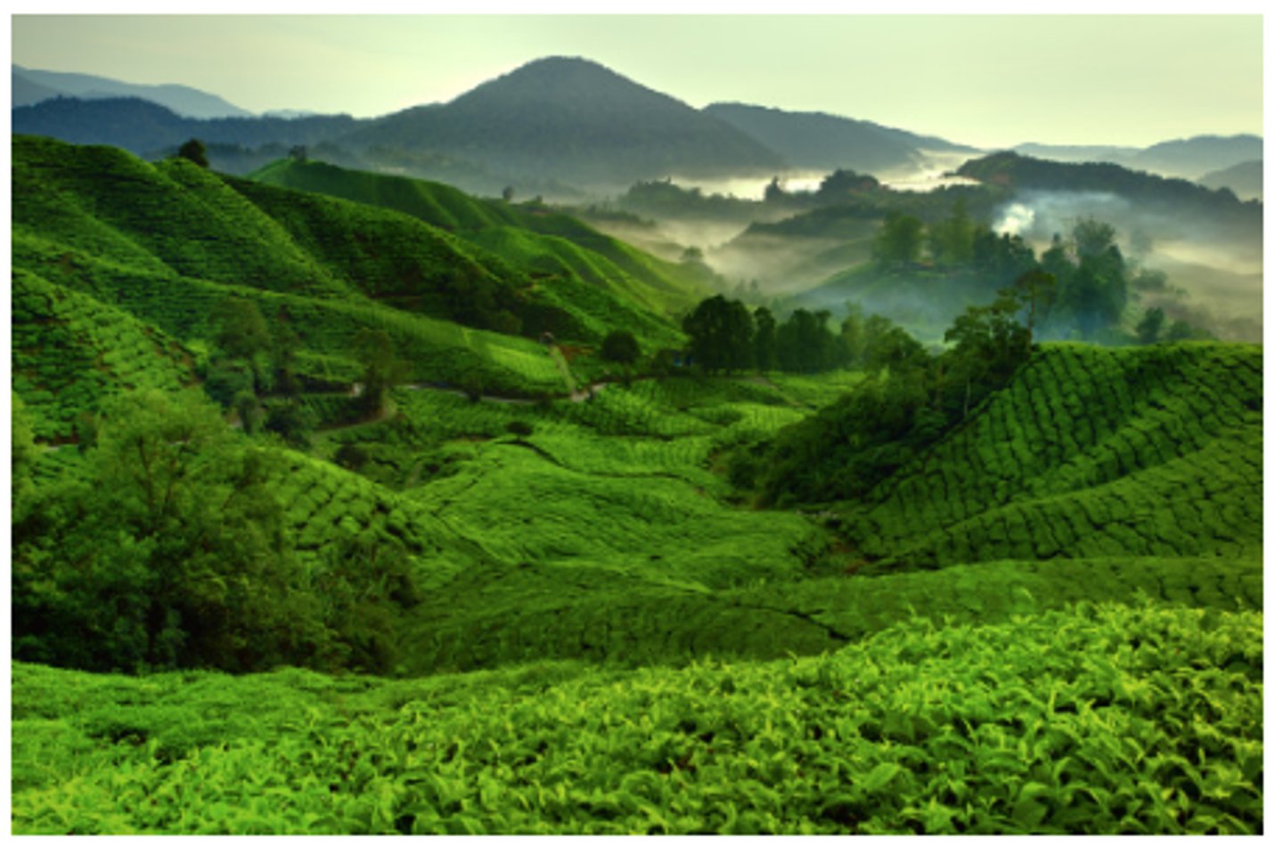 <p>/hɪl/ Ngọn đồi</p>