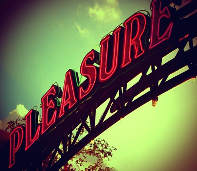 <p>pleasure</p>