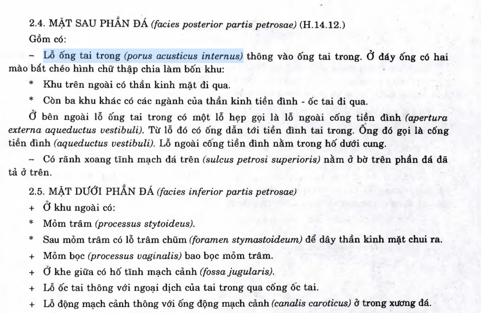 <p>D. Tất cả đều đúng.</p>