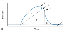 <p>a - PIP</p><p>c - Pplat</p><ul><li><p><span>Dynamic compliance (Cdyn) is lower than static compliance (Cs) because of the increased pressure required overcoming circuit and airway resistance (Raw)</span></p><ul><li><p><span>This pressure would be reflected by the size of the region labeled 1</span></p></li></ul></li><li><p><span>True static compliance can only be determined once bulk flow (gas delivery) and intrapulmonary flow (pendelluft) have ceased (point c)</span></p></li><li><p><span>Need an inspiratory hold of about 1.5 seconds to truly measure static compliance</span></p><ul><li><p><span>If too short of an inspiratory hold, the pressure drops to point b</span></p><ul><li><p><span>Compliance measurements derived using these values are termed quasistatic (i.e. Cqs)</span></p></li></ul></li></ul></li><li><p><span>Major influences on mean airway pressure (MAP) are the relative height and width of four distinct pressures</span></p><ul><li><p><span>1 - pressure used to overcome circuit and airway resistances</span></p></li><li><p><span>2 - pressure used to deform the lung and expand the alveoli</span></p></li><li><p><span>3 - pressure throughout the expiratory flow phase</span></p></li><li><p><span>4 - PEEP</span></p></li><li><p><span>An increase in the surface area of any of these regions without an equivalent decrease in another will result in a higher MAP</span></p></li></ul></li></ul><p></p>