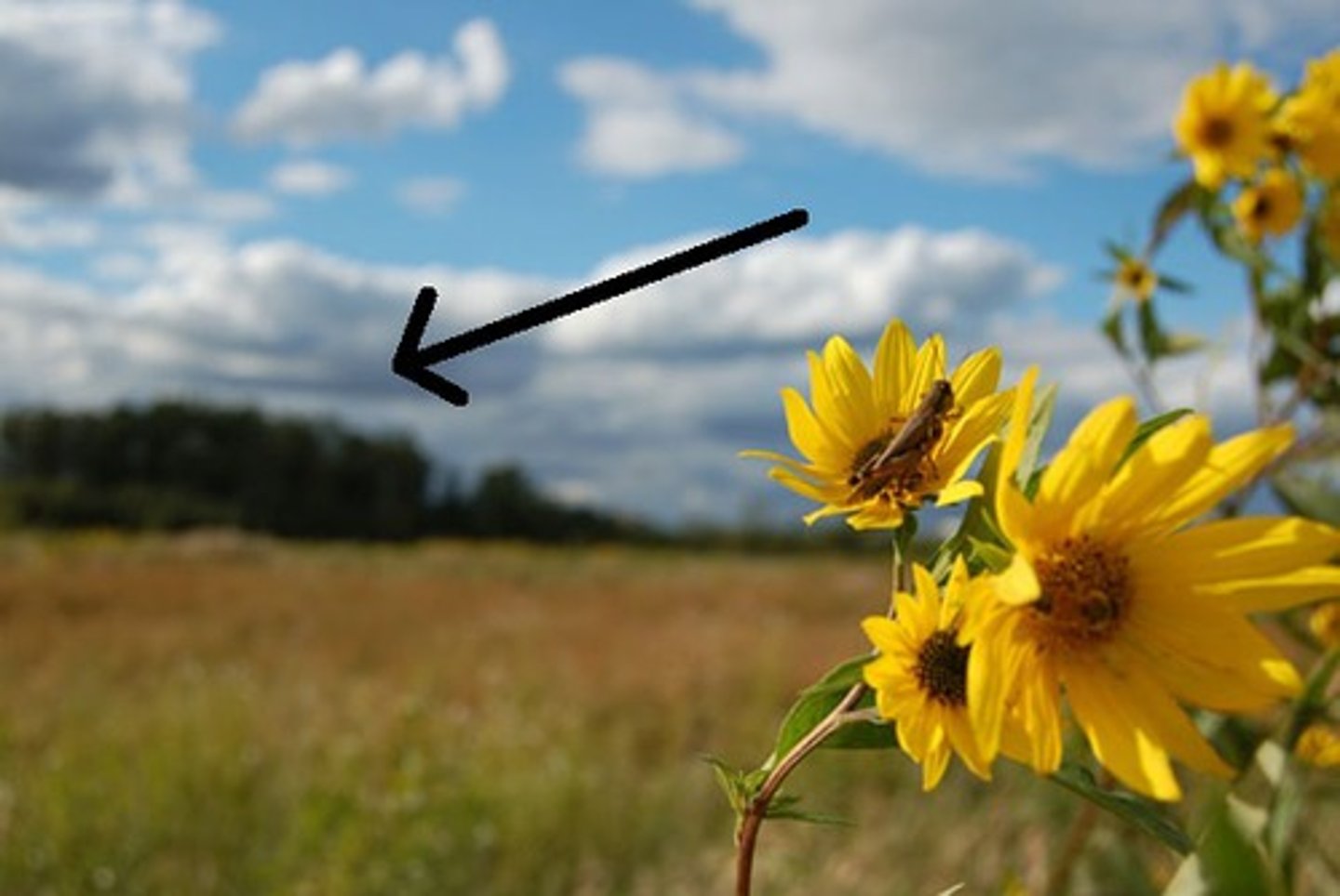 <p>the back part, area</p>