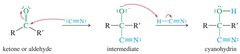 <p>Cyanide functions as a nucleophile, attacking the carbonyl carbon and generating a cyanohydrin.</p>