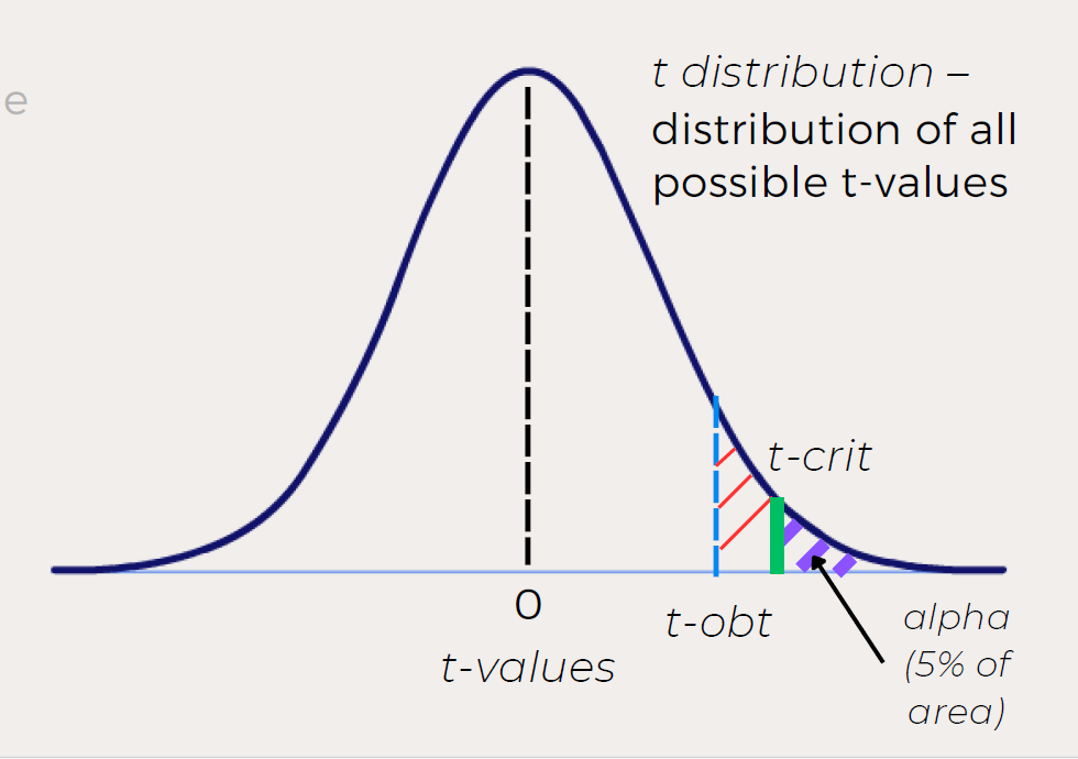 <p>The value that marks the cutoff for the most extreme <strong>5%</strong> (or chosen alpha) of the t-distribution. It corresponds to <strong>alpha</strong> (commonly 0.05).</p>