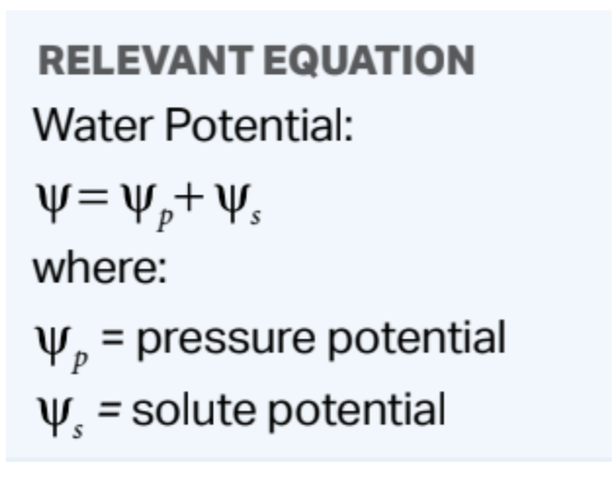 <p>(water potential symbol) = (wp)p + (wp)s</p><p>(wp)s = solute potential  - (wp)p= pressure potential </p><p></p>