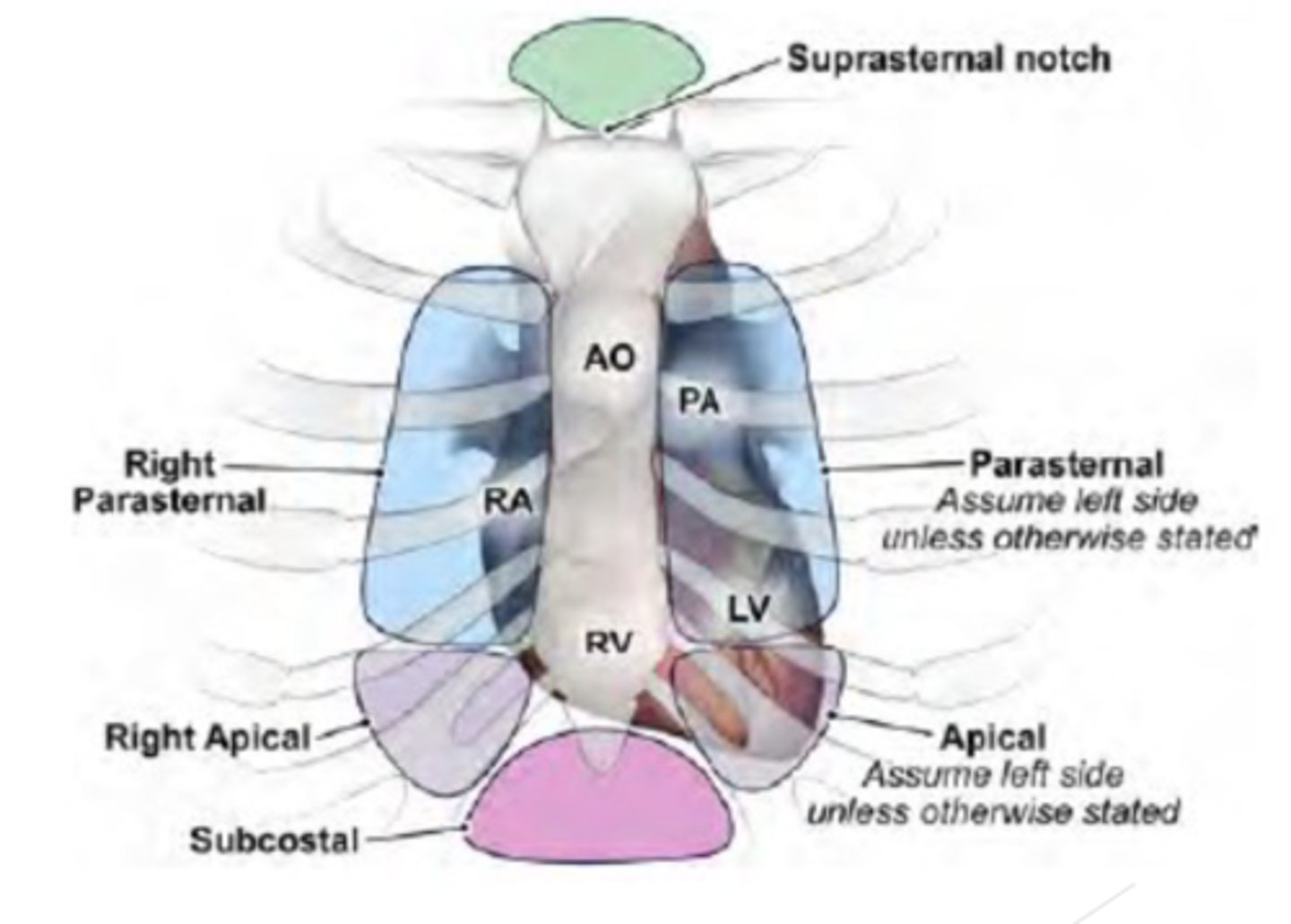 <p>Parasternal (right &amp; Left)</p><p>Apical</p><p>Subcostal</p><p>Suprasternal</p>