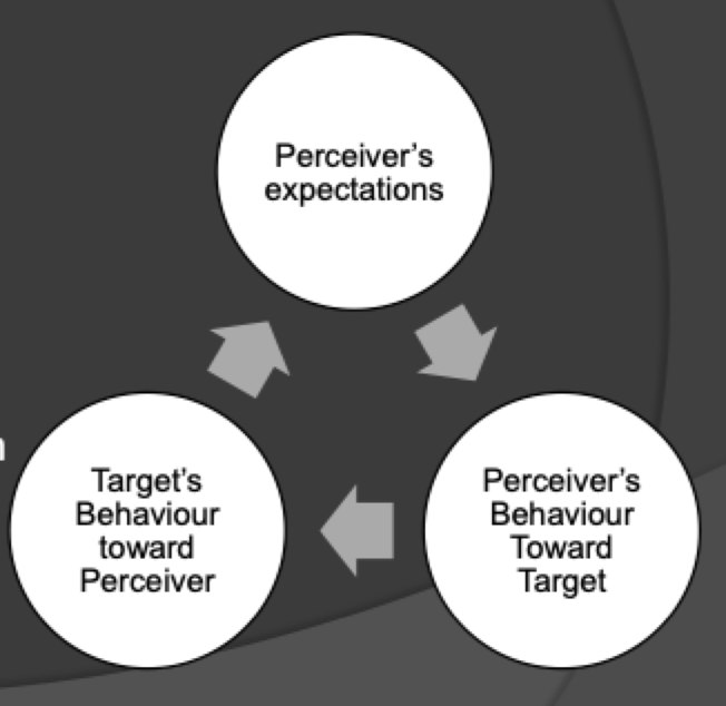 <p>When your expectations about another person lead you to engage with them in ways that <em>confirm</em> those expectations </p>