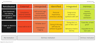 <p>Amotivation, Extrinsic and Intrinsic Motivation</p><p>A <span style="font-family: Arial, sans-serif">theory of human motivation and personality that concerns people's innate growth tendencies and innate psychological needs. It pertains to the motivation behind people's choices</span></p>