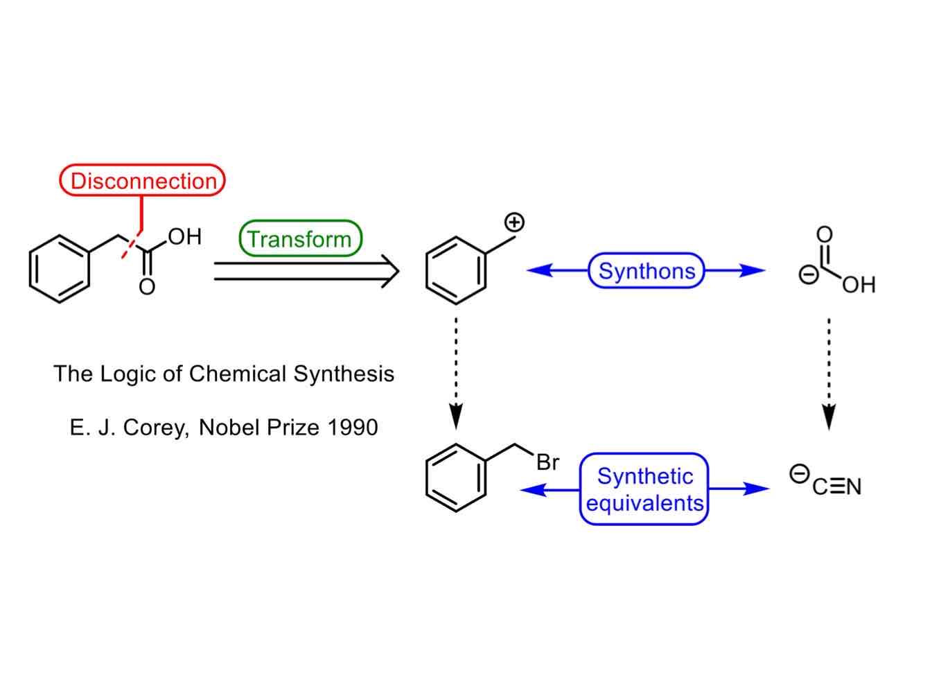 <ul><li><p>Transformation: A reaction of changing a molecule, either going either forward or backward.</p></li><li><p>“Retrosynthetic cut” or disconnection: Breakage of a bond, converting a molecule into a possible starting material.</p></li><li><p>Synthons: A generalized fragment, usually an ion, produced by a</p><p>disconnection, which cannot itself be used, often because it is too unstable</p></li><li><p>Synthetic equivalent: A reagent carrying out the function of a synthon.</p></li></ul><p></p>