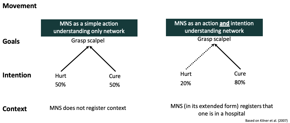 <ul><li><p><span><span>If the MN system is action dependent, may be able to understand the goal</span></span></p></li><li><p><span><span>Believed the MNS does not understand context so needed to understand how much the MNS is helping us in understanding action intentions</span></span></p><ul><li><p><span><span>Found it also understands intention. We could work out the context through the MNS extended form where it is connected to other regions</span></span></p></li><li><p><span><span>E.g. alley vs hospital helps us understand that a scalpel will be used to kill rather than cure us</span></span></p></li></ul></li></ul><p></p>