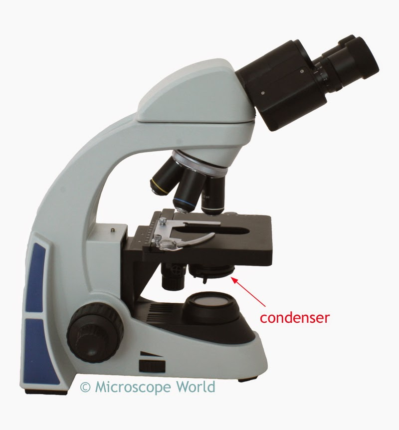 <p>Condenser</p>