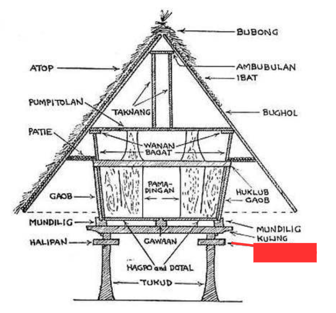 term image
