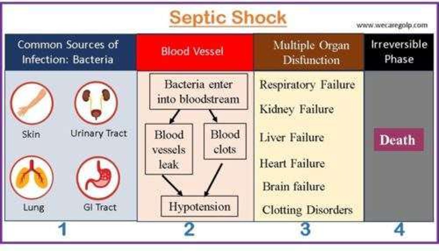 <p>- hypotension => hypoxia + hypoxemia => overall ischemia - leads to:</p><p>- renal failure, DIC, metabolic acidosis, hyperglycemia</p><p>- high mortality risk</p>