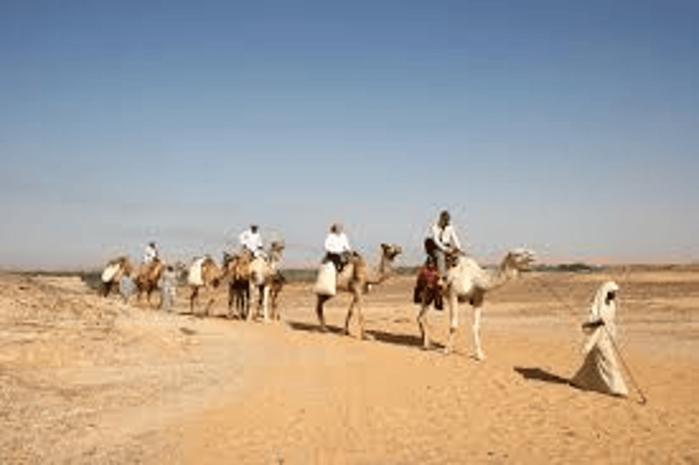 <p>developed to carry people and heavy loads, increasing trade</p>