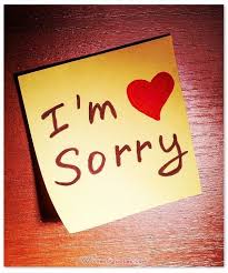 <p>I’m sorry</p>