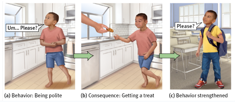 <ul><li><p>child associates his “response” (behavior) with consequences</p></li><li><p>child learns to repeat behaviors (saying “please”) which were followed by desirable results (cookie)</p></li><li><p>child learns to avoir behaviors (yelling “gimme!”) which were followed by undesirable results (scolding or loss of dessert)</p></li></ul>