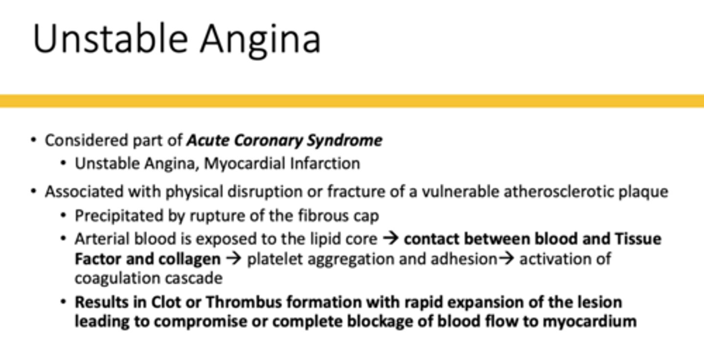 <p>unstable angina</p>