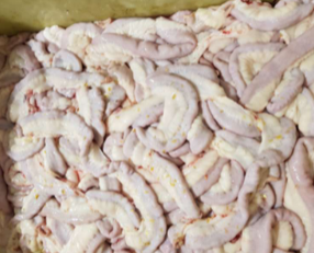 <p>Name: Small intestine<br>Primal: Gastrointestinal tract</p><p>Features: long, thin tubular, comprised of duodenum jejunum and ilium</p>