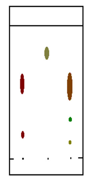 <p><span style="font-family: Arial">•The substances to be separated are placed on the plate and this plate is then placed in a container with a solvent.</span></p><p><span style="font-family: Arial">•Stationary phase is the specially coated glass, plastic or metal plate.</span></p><p><span style="font-family: Arial">•Coating is an adsorbent material such as silica gel, fine alumina or powdered cellulose.</span></p><p><span style="font-family: Arial">•Mobile phase is a solvent of some type, depending on the substances to separate – maybe polar or non-polar.</span></p>