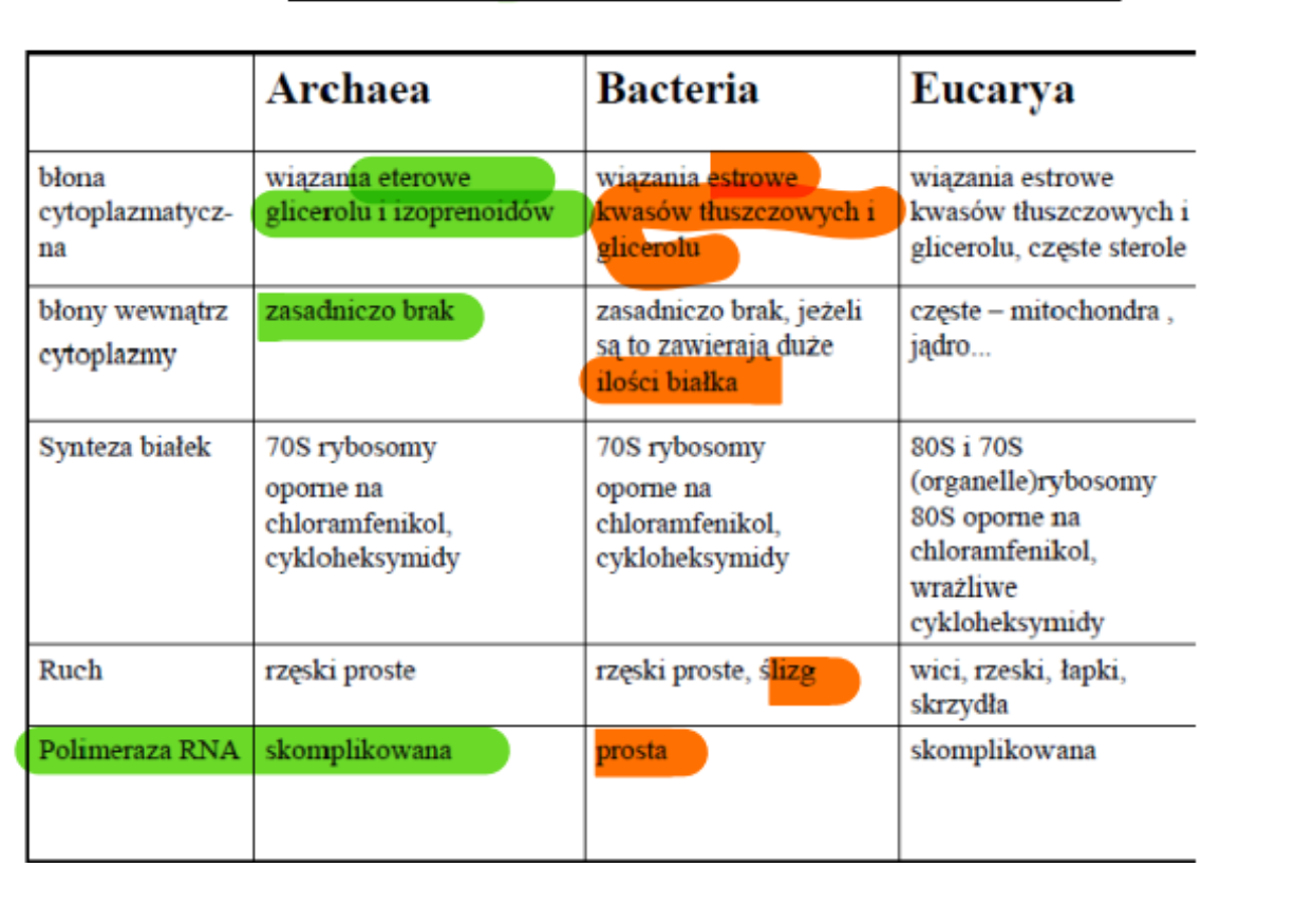 <ul><li><p>Asymilacja N2 atmosferycznego</p></li><li><p>Synteza B12</p></li><li><p>Fotosynteza bez chlorofilu</p></li><li><p>Korzystanie z energii związków nieorganicznych</p></li><li><p>Związki nieorganiczne jako akceptor elektronów zamiast O2</p></li><li><p>Wzrost w warunkach beztlenowych</p></li><li><p>Wzrost powyżej 80 C</p></li></ul><p></p>
