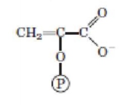 <p>What structure is this?</p>
