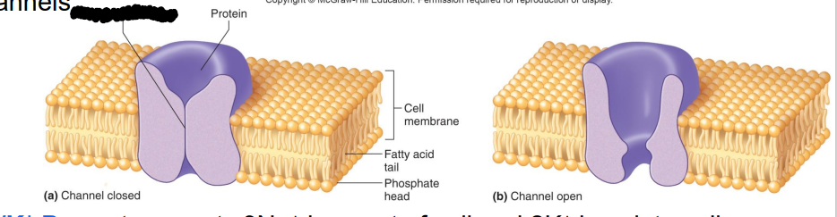 <p>Label the diagram</p>