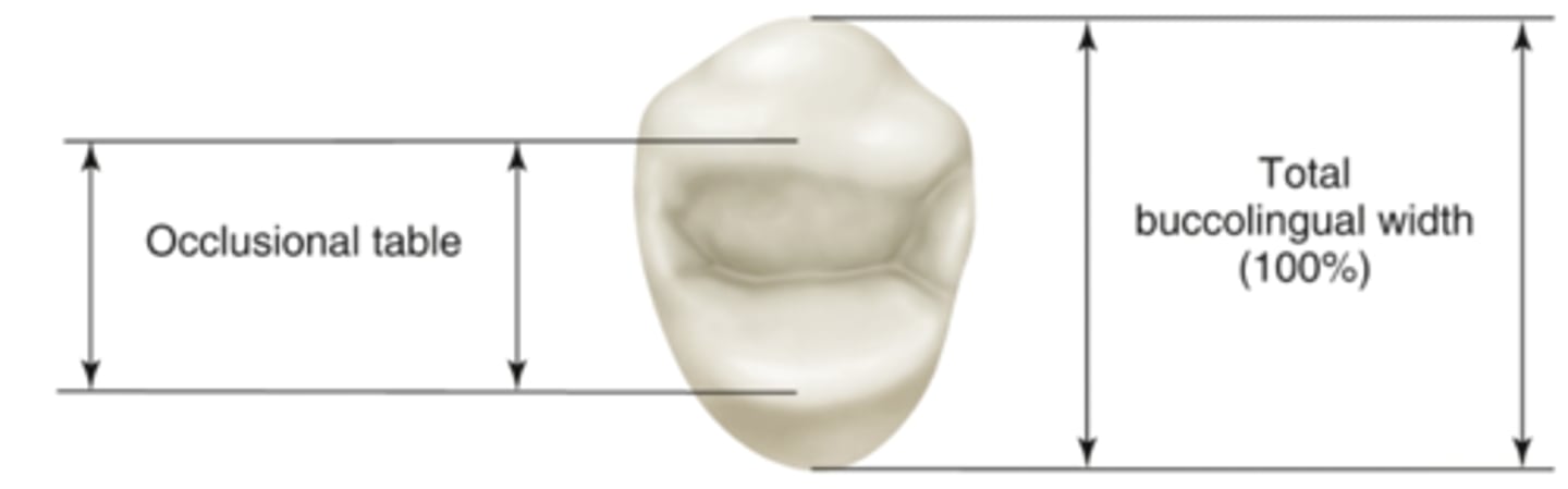 <p>the occlusal table is about _____% of the total occlusal surface area</p>