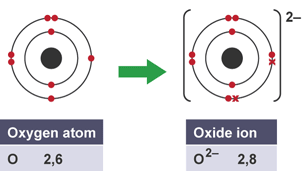 <p>charged particle formed when an atom gains or loses electrons</p>