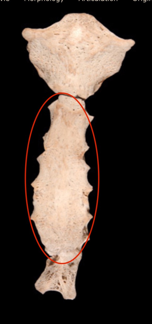 <p>What is this area?</p>