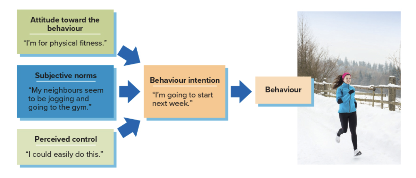 <p>When your attitudes, subjective norms and sense of control shape your intention and thus whether you carry out that behaviour our not.</p>