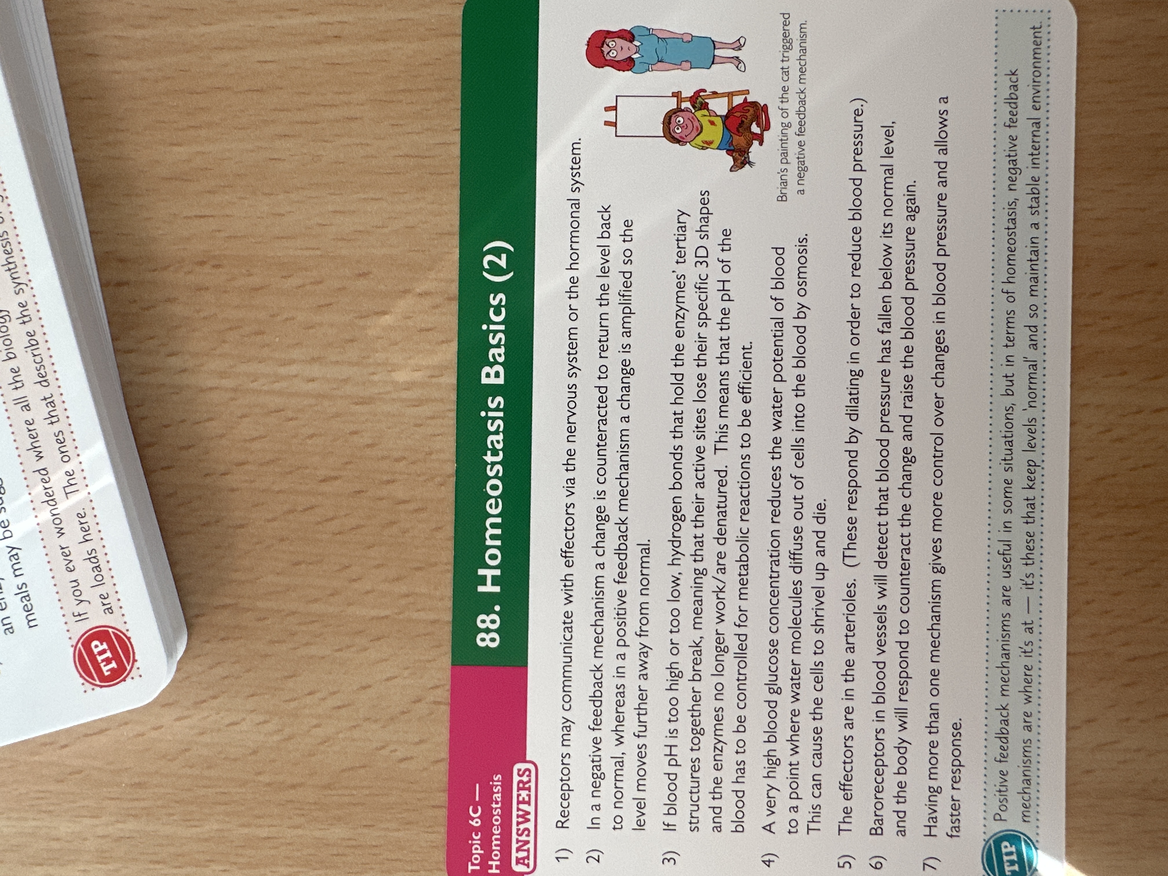 knowt flashcard image