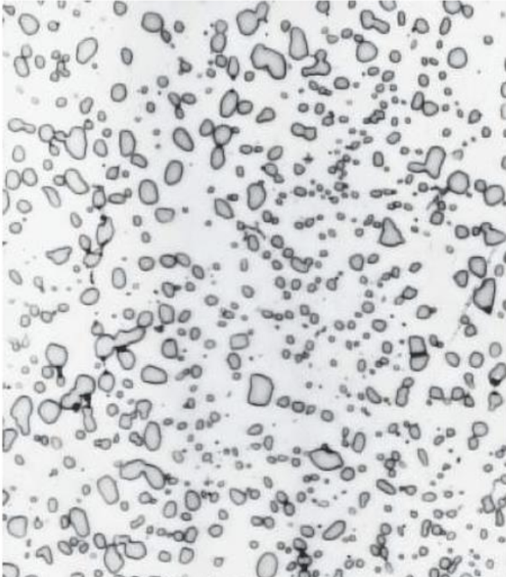 term image