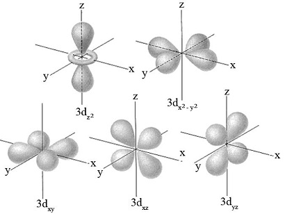 <p>The shape of the "d" orbital is complex and can vary, but typically includes cloverleaf patterns and a doughnut-shaped ring around the center. There are five different d orbitals corresponding to different orientations in space. </p>
