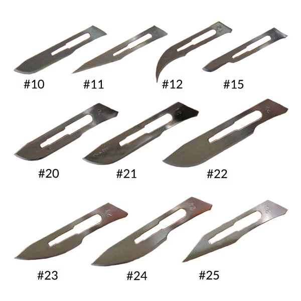 <p>a surgical knife used to make incisions.</p>