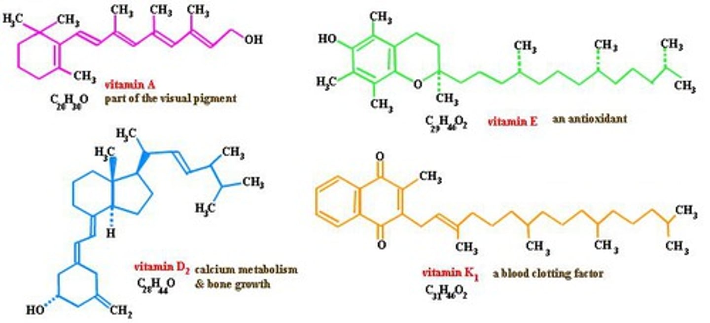 <p>These fat-soluble vitamins generally serve as cofactors.</p>