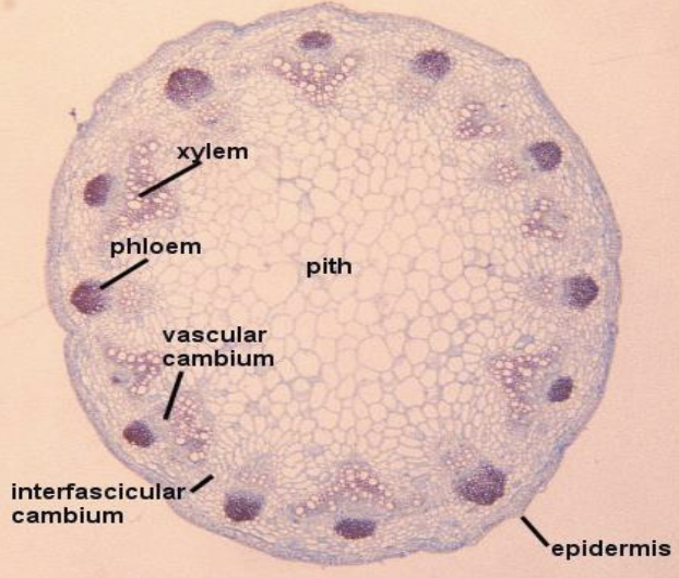 <p>What is this?</p>