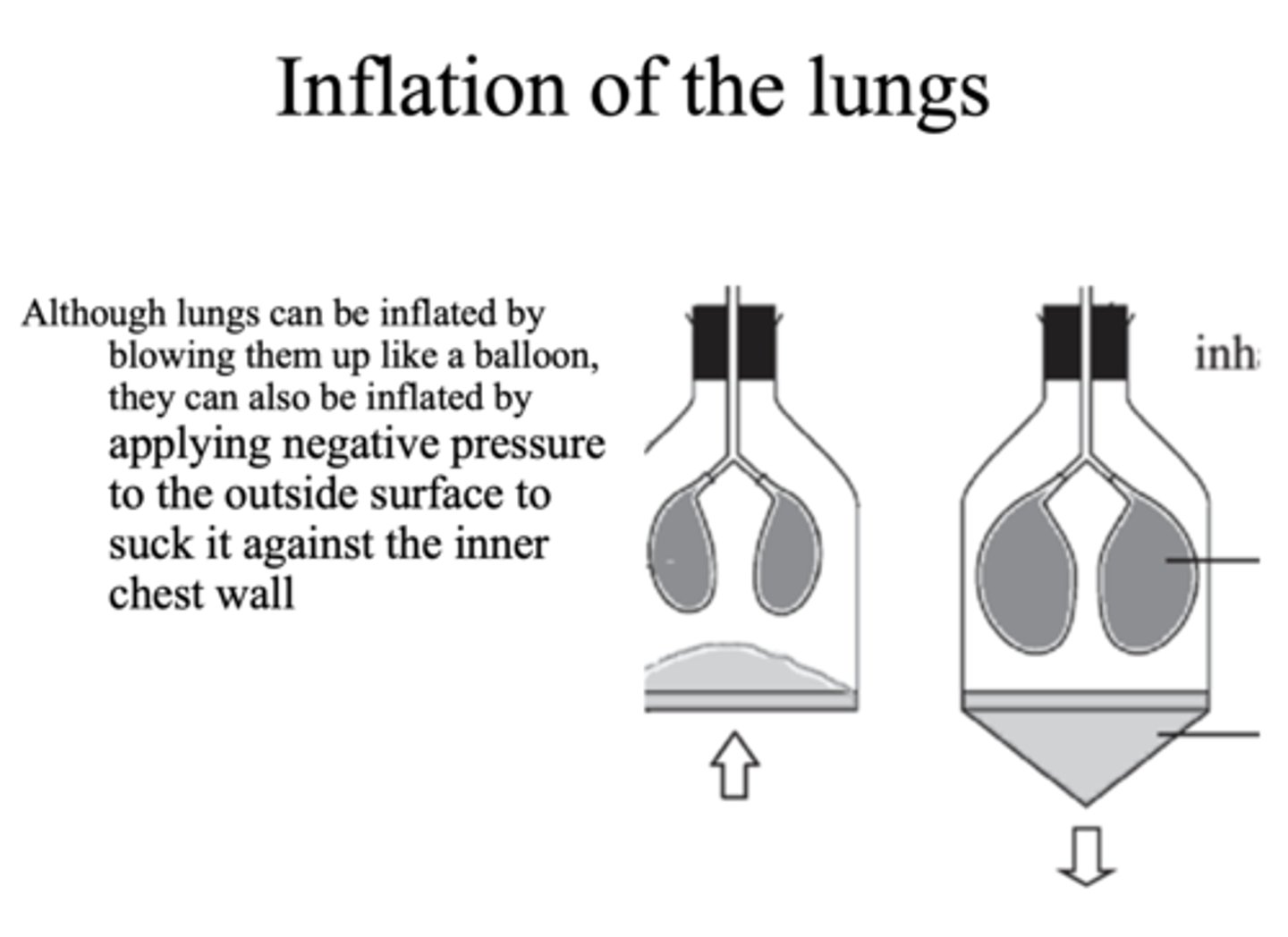 <p>Negative</p>