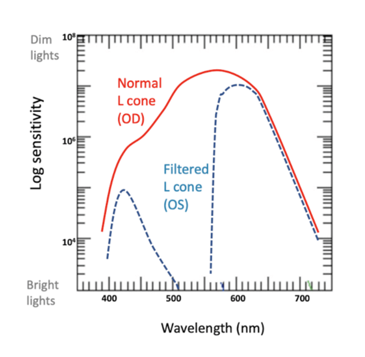 <p>can tell the difference between green and red by sensitivity</p>
