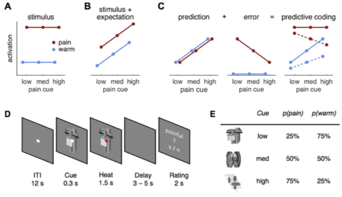 <p>What did Geuter et al (2017) find regarding the heat pain paradigm?</p><ul><li><p>tested models of stimuli and prediction - influence physiological and neural responses</p></li><li><p>the predictive coding is a weighted sum of two components</p></li></ul><p></p>
