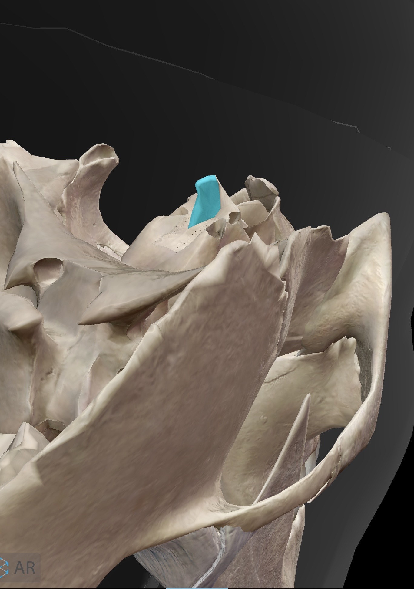 <p>What is this and what is its function?</p>