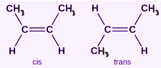 <p>What type of isomer is this show in the image?</p>