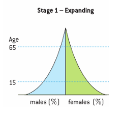 <ul><li><p>high birth rate</p></li><li><p>rapid fall in each upward age group</p></li><li><p>high death rate</p></li><li><p>low life expectancy</p></li></ul><p></p>